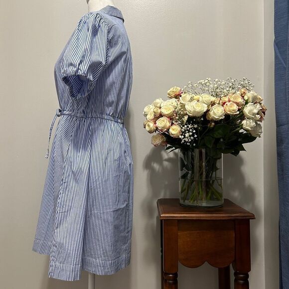 NWOT J.Crew Blue Striped Mini Dress - Picture 7 of 10